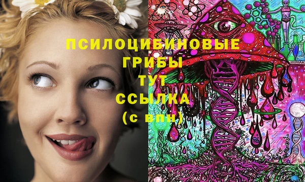а пвп мука Алзамай